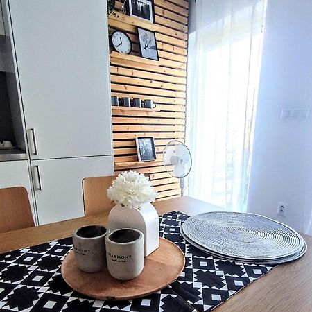Comfort Apartment For 6 & Loggia & Free Parking Zilina Luaran gambar